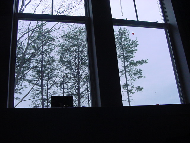 DSC02326.JPG
